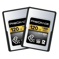 ProGrade Digital CFexpress™ 2.0 Type A Memory Card (Gold)