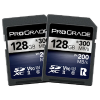 ProGrade Digital SDXC UHS-II V90 Memory Card (Iridium)