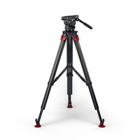 Sachtler System Cine 20 flowtech100 MS