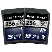 ProGrade Digital SDXC UHS-II V90 Memory Card (Iridium)