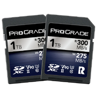 ProGrade Digital SDXC UHS-II V90 Memory Card (Iridium)