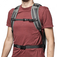 Lowepro Flipside Backpack 300 AW III, 17L - Dark Grey